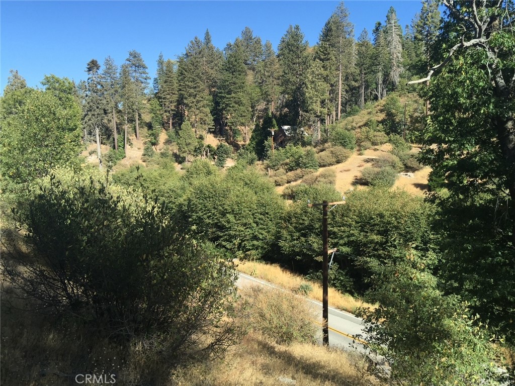 29751 Redwood Property Photo 4