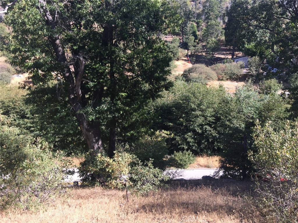 29776 Hook Creek Property Photo 1