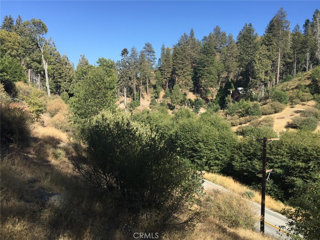 29776 Hook Creek Property Photo 3