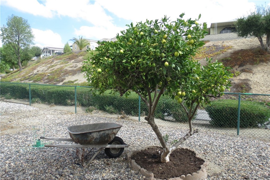 38534 Via Amarilla Property Photo 20