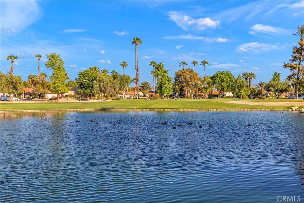 40465 La Costa Circle W Property Photo 41