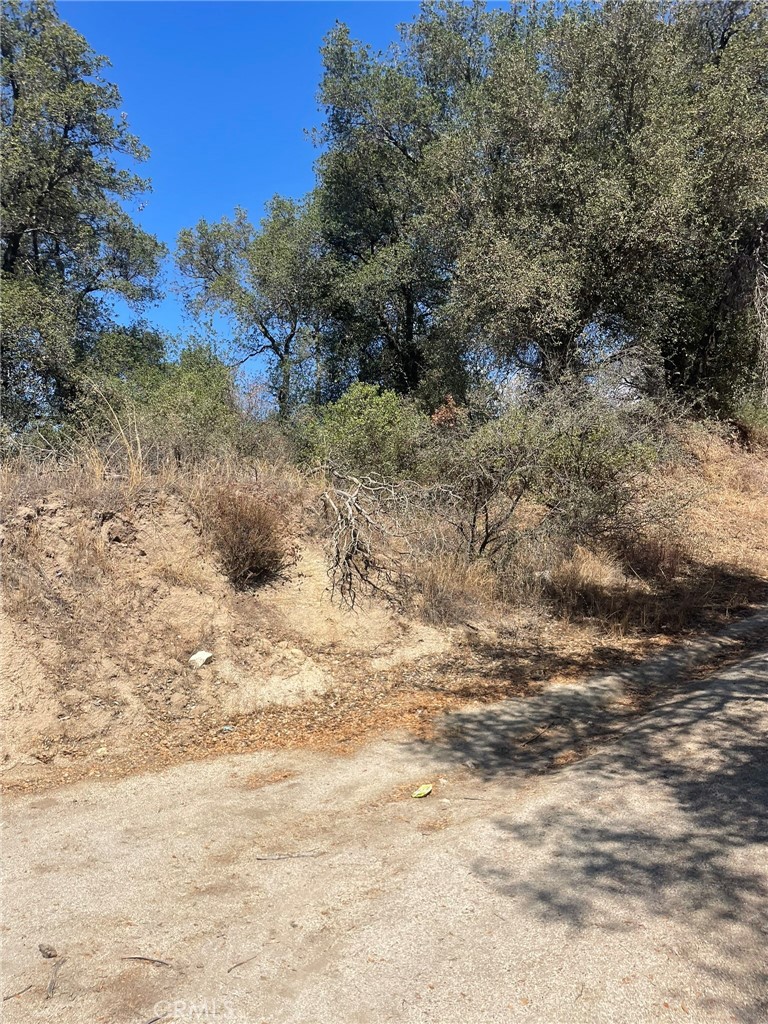 0 Racoon Street N Property Photo 3
