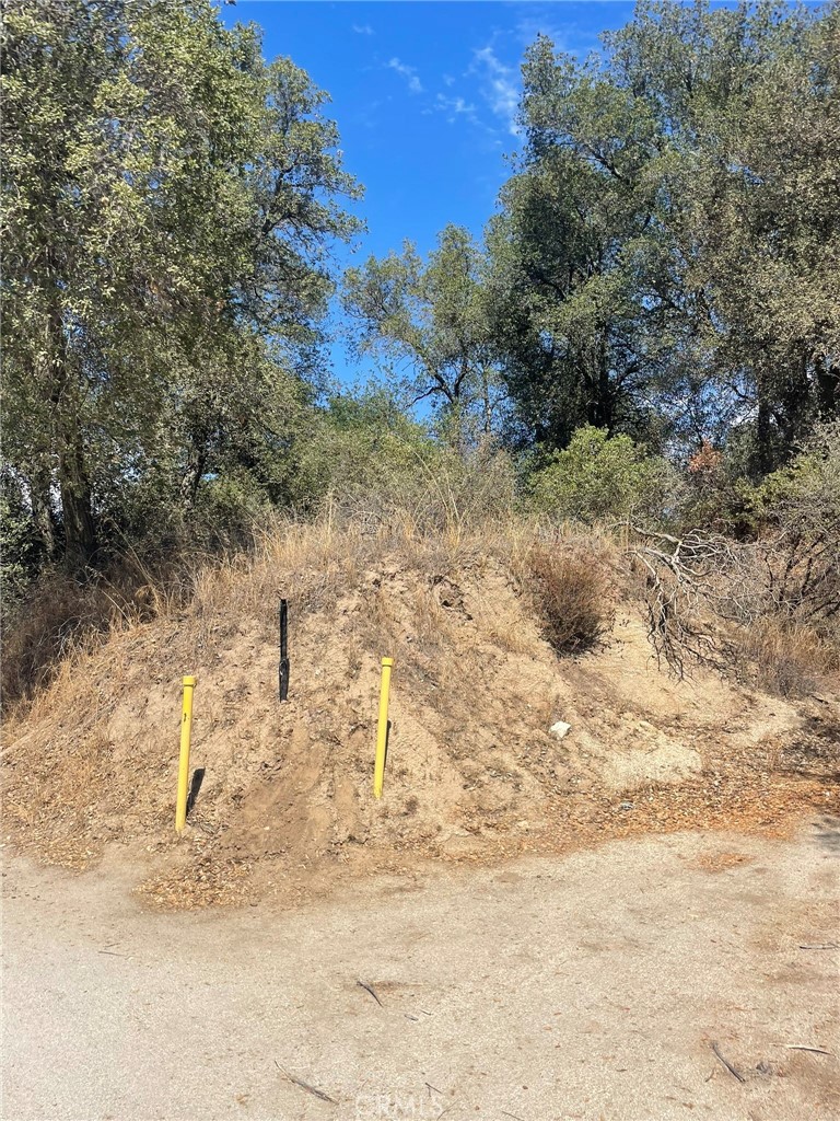 0 Racoon Street N Property Photo 4