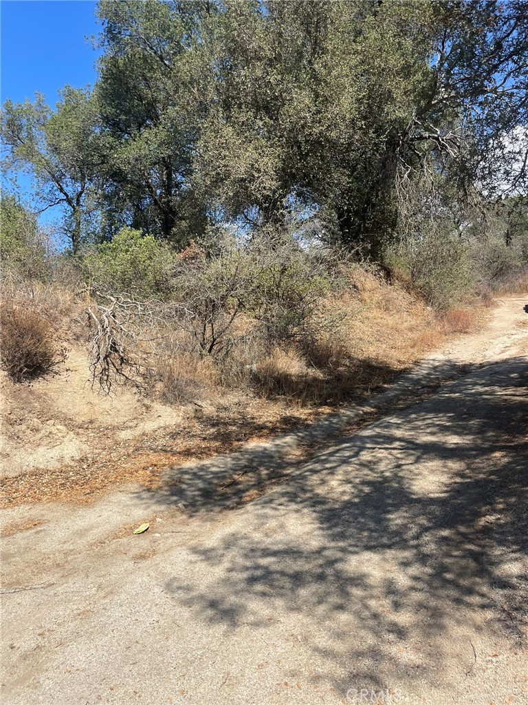 0 Racoon Street N Property Photo 6