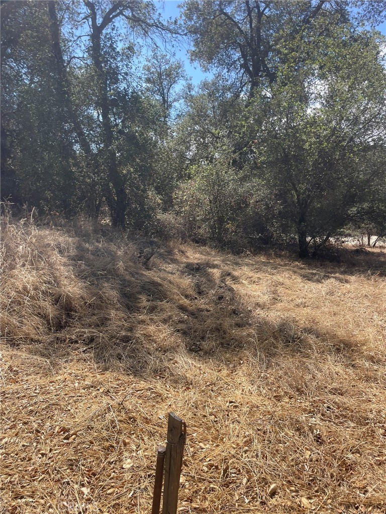 0 Racoon Street N Property Photo 13