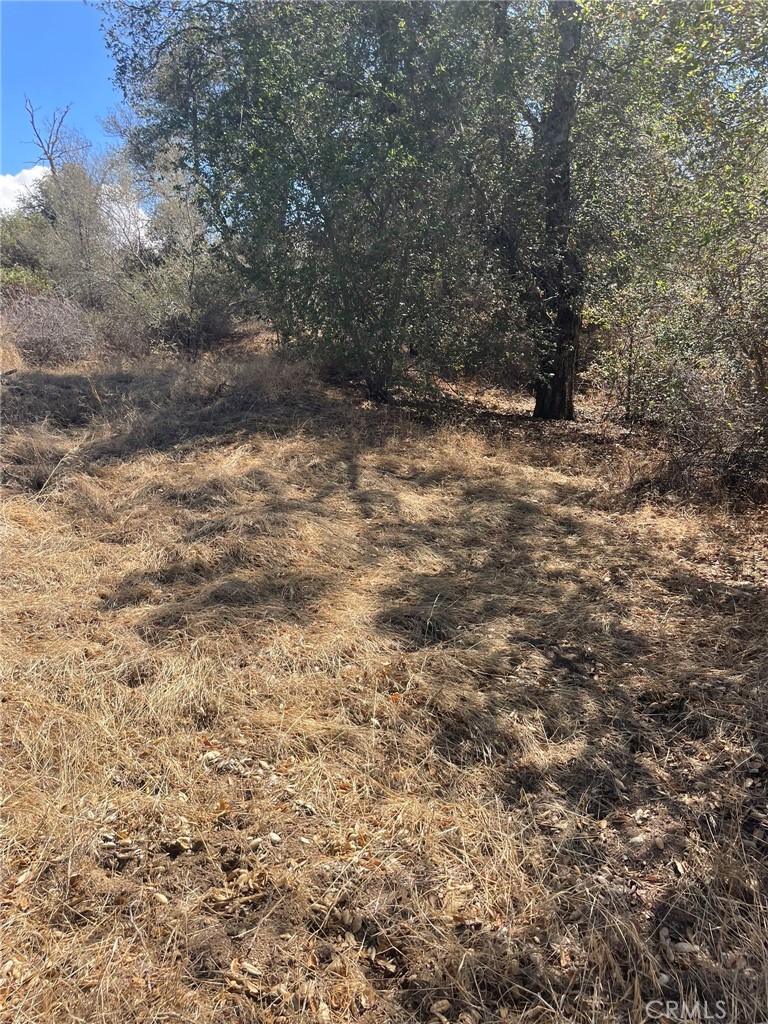 0 Racoon Street N Property Photo 18