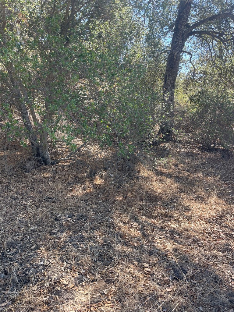 0 Racoon Street N Property Photo 19