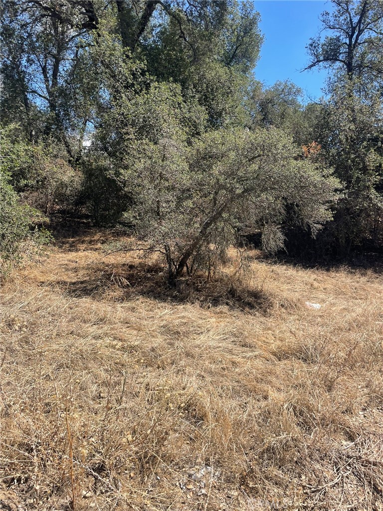 0 Racoon Street N Property Photo 21