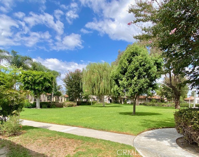 13835 La Jolla Property Photo 25