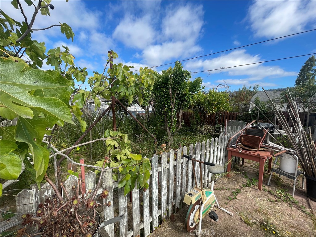 3063 Maple Avenue Property Photo 3
