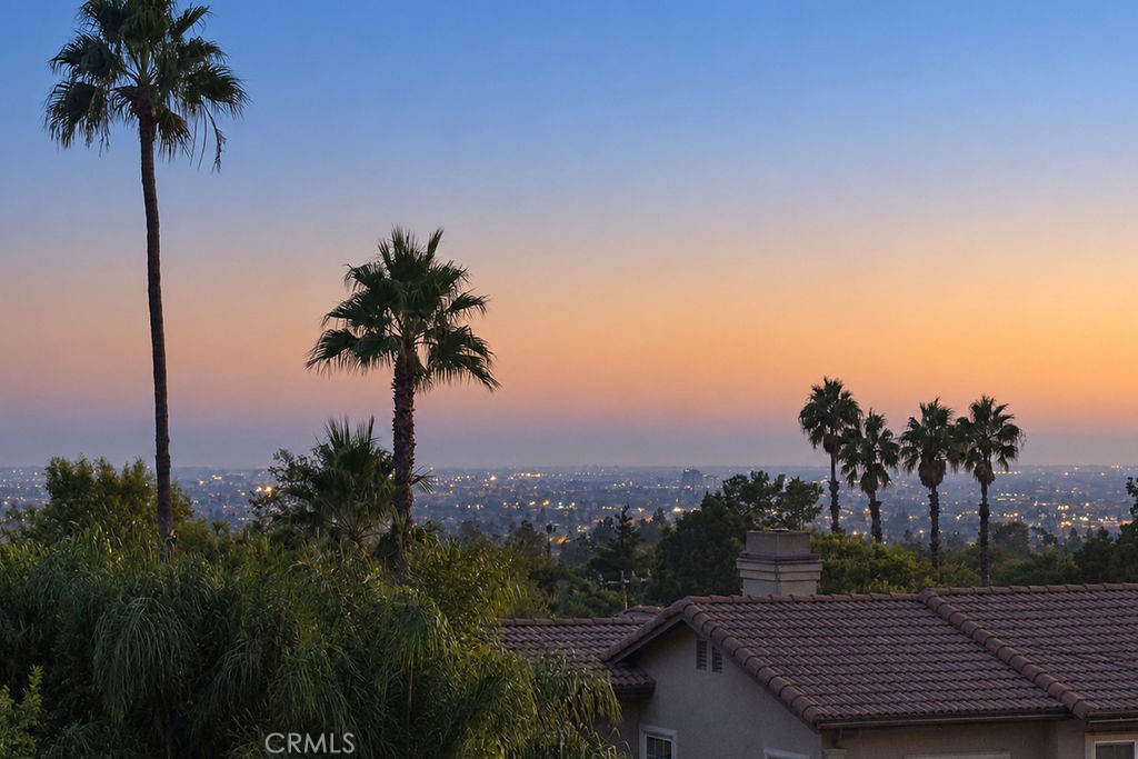 19041 Cerro Villa Drive Property Photo 6