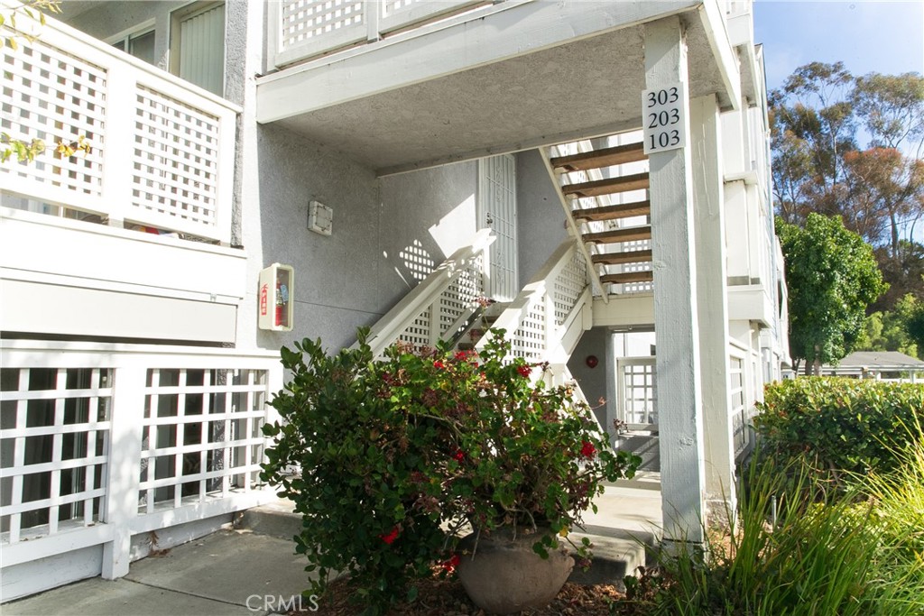 34264 Camino Capistrano Property Photo 17