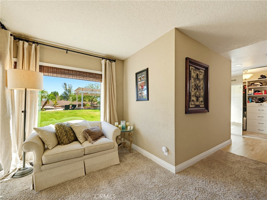5142 Paseo Rico Property Photo 59