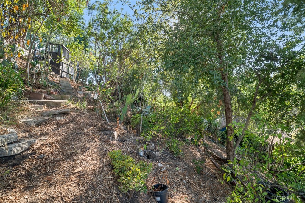 3507 Cazador Street Property Photo 40