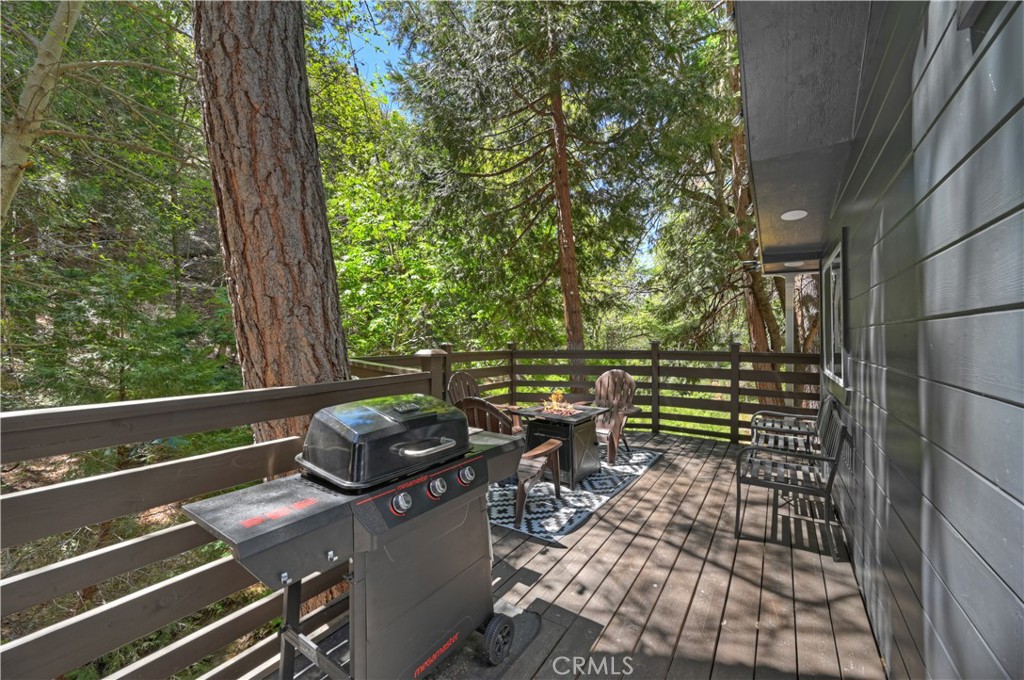 25005 Basel Drive Property Photo 23