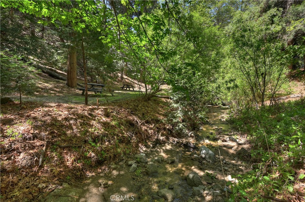 25005 Basel Drive Property Photo 33