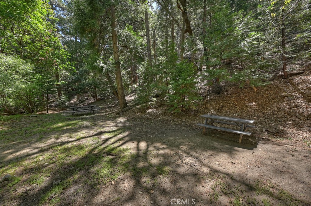 25005 Basel Drive Property Photo 35