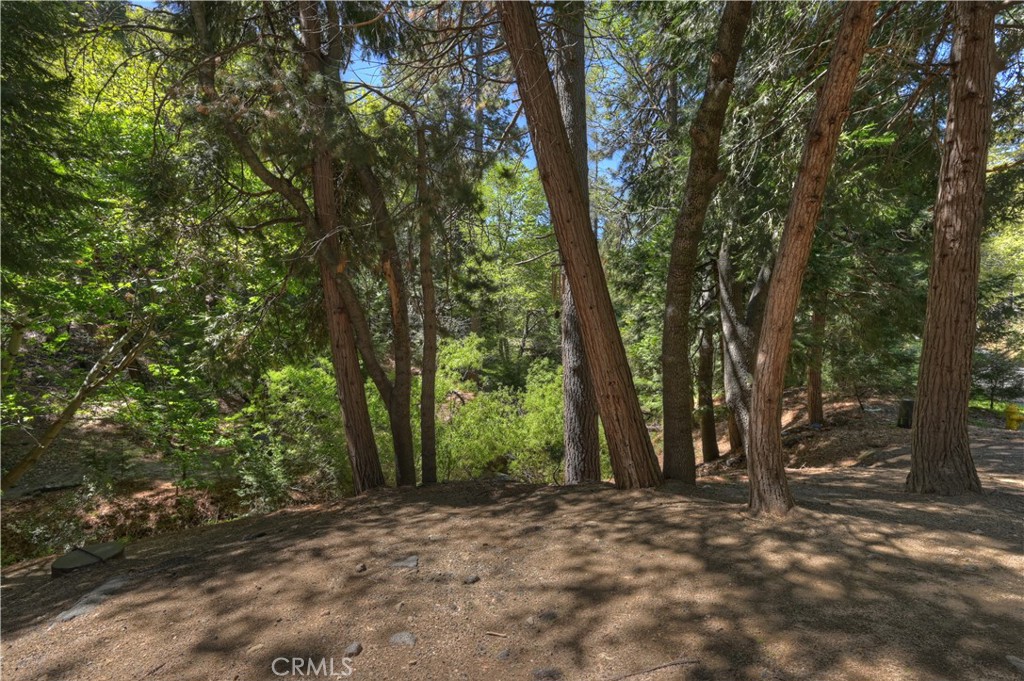 25005 Basel Drive Property Photo 39