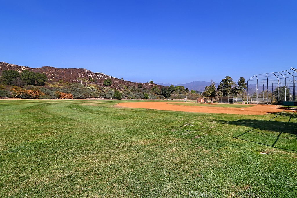 6 Mahogany Property Photo 49