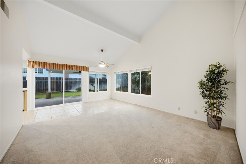 226 Plum Property Photo 7