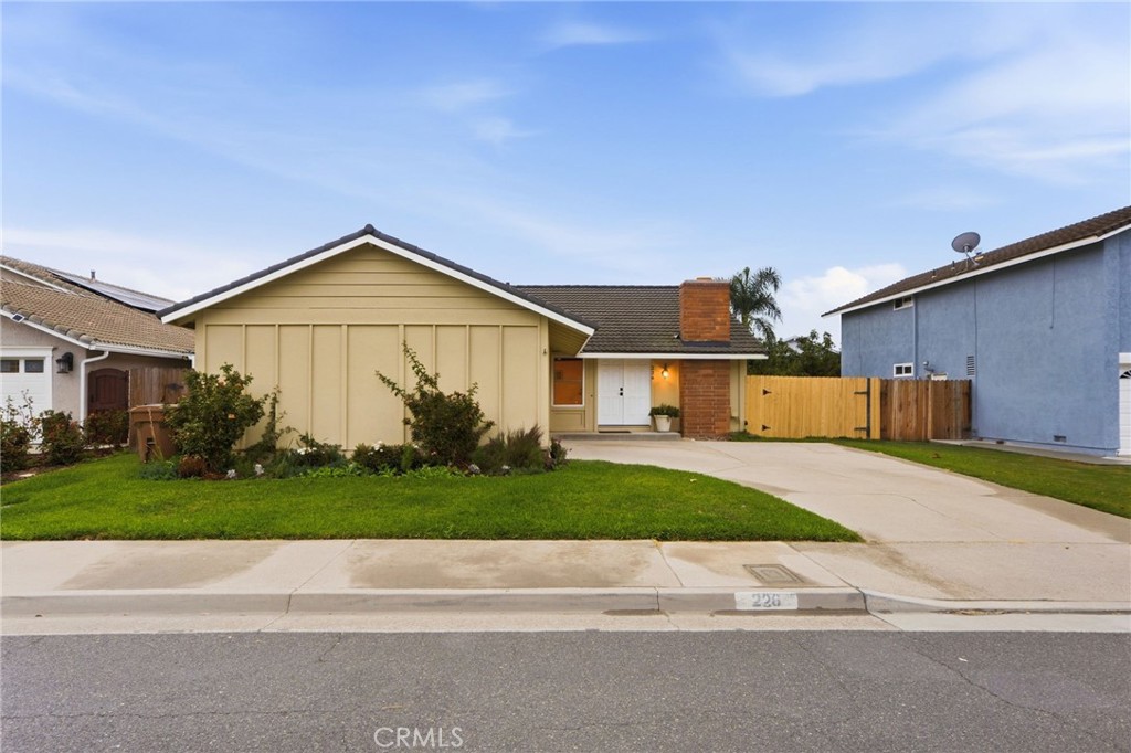 226 Plum Property Photo 37