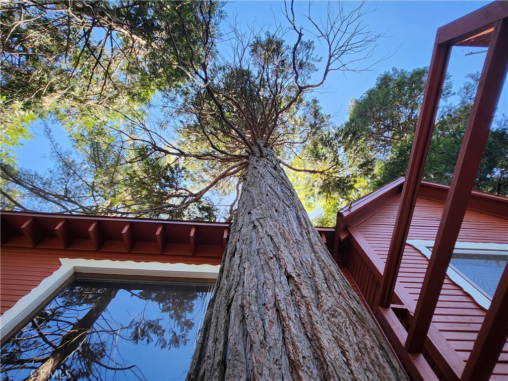 23727 Bowl Road Property Photo 3
