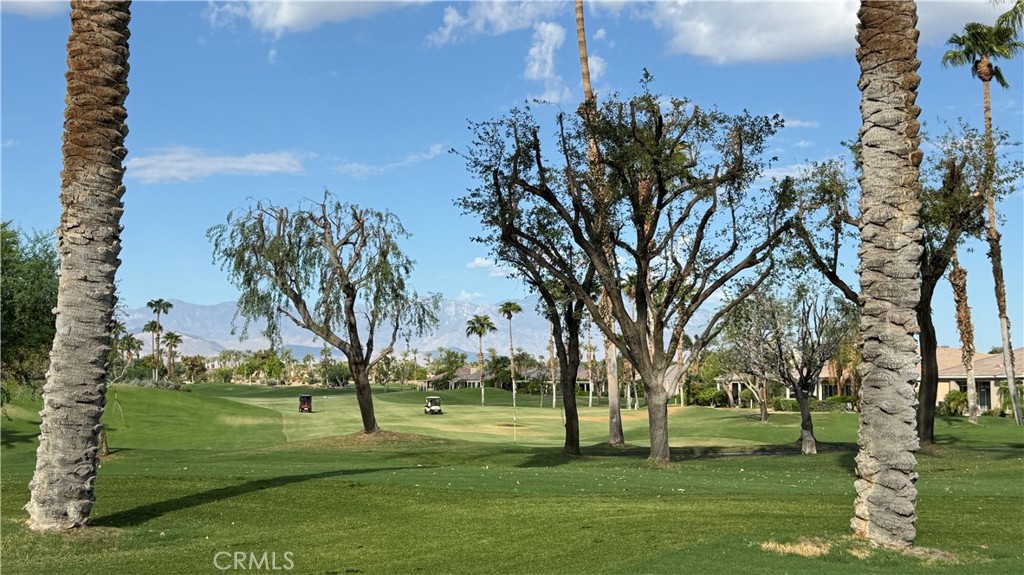 80576 Hoylake Property Photo 3