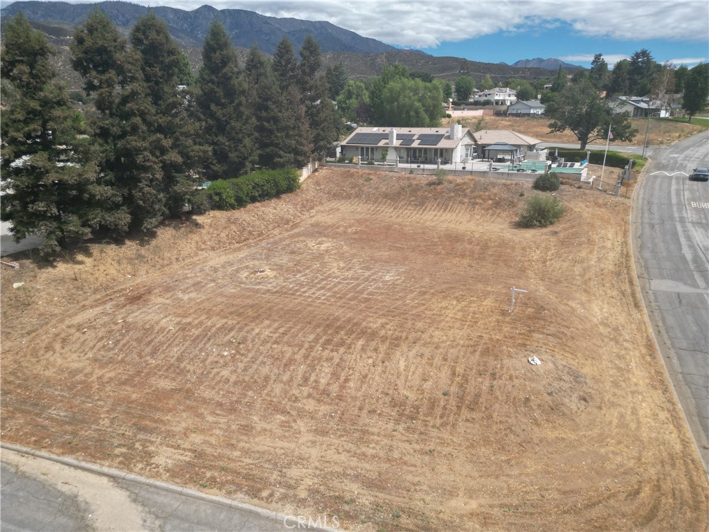 13581 Pineridge Court Property Photo 2