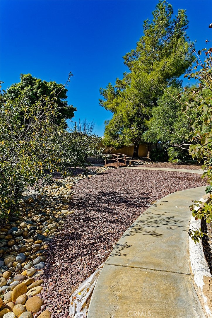 16515 Desert Vista Ct. Property Photo 19