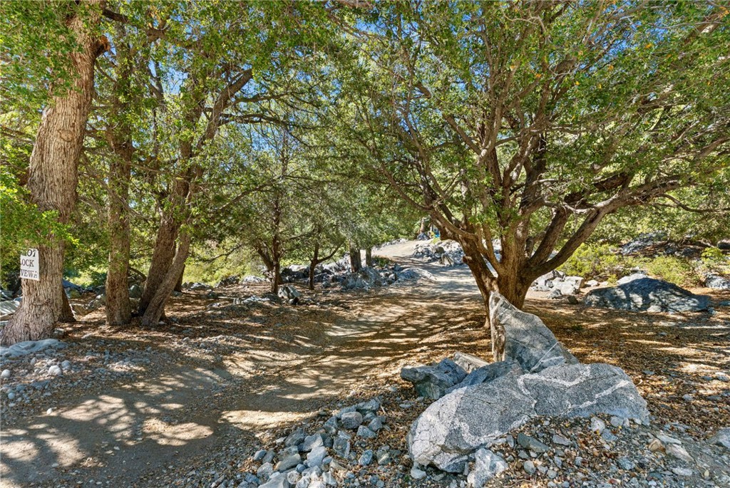 3 Glacier Property Photo 25