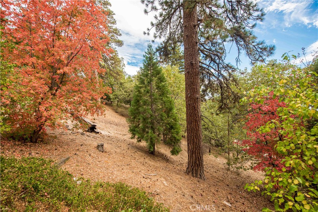24 Fredalba Property Photo 33