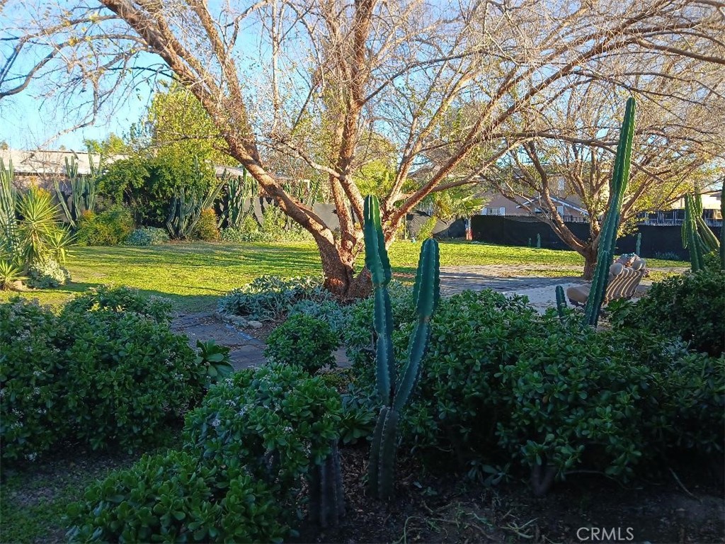 2101 Orange Street Property Photo 38