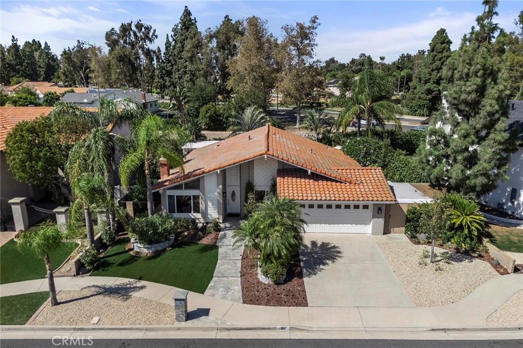 107 San Anselmo