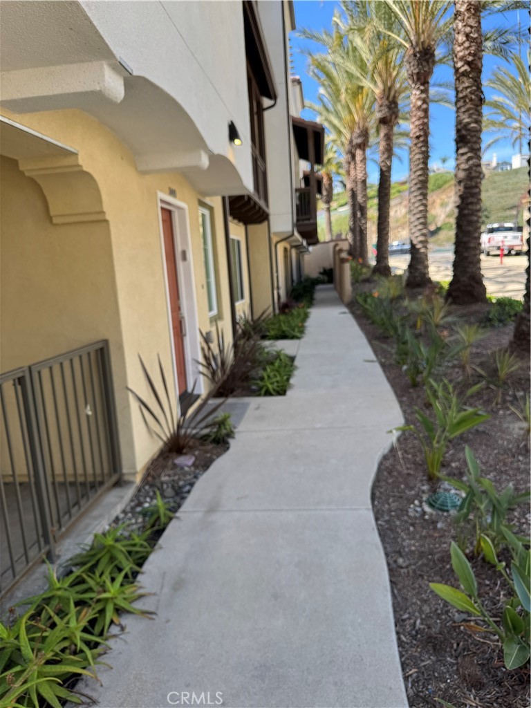 3446 Doheny Way Property Photo 47