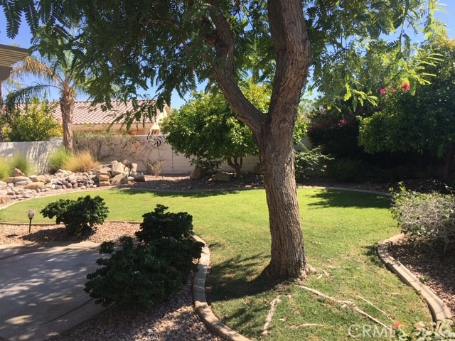 80719 Camino Los Campos Property Photo 28