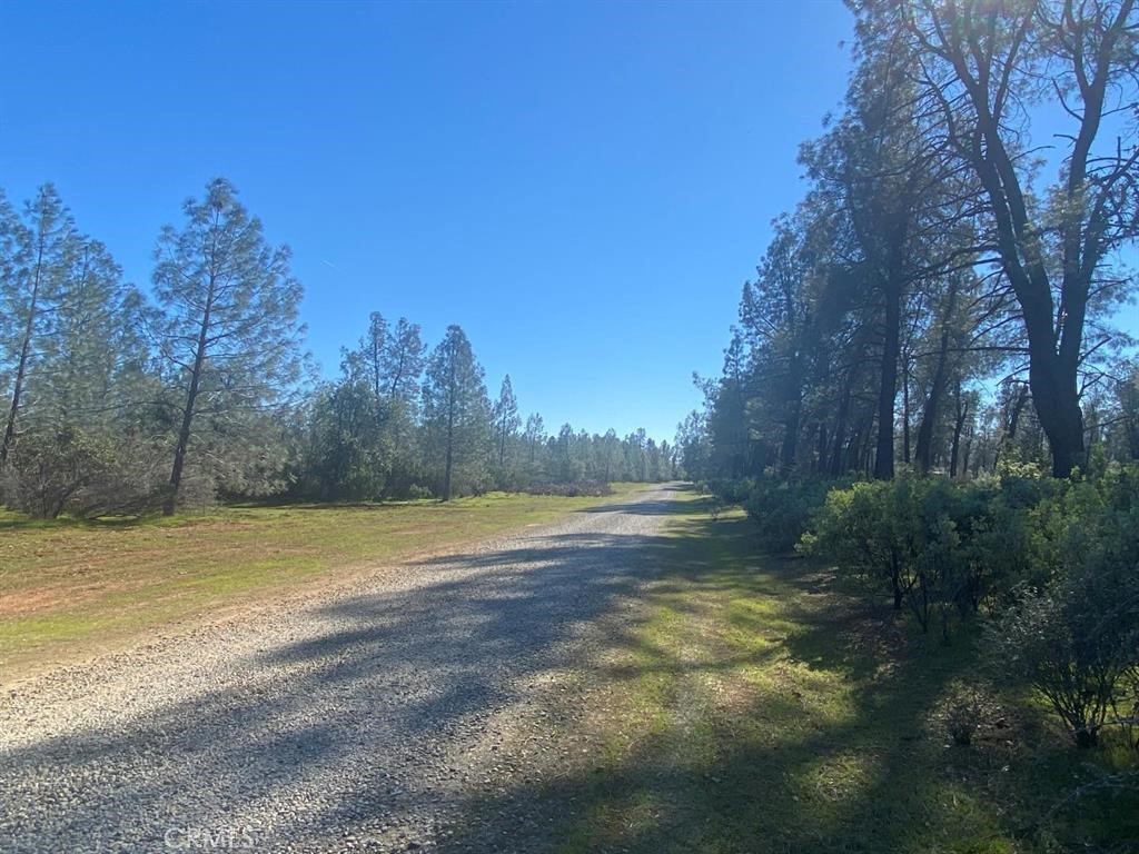 0 Heavenly Valley Drive Property Photo 1