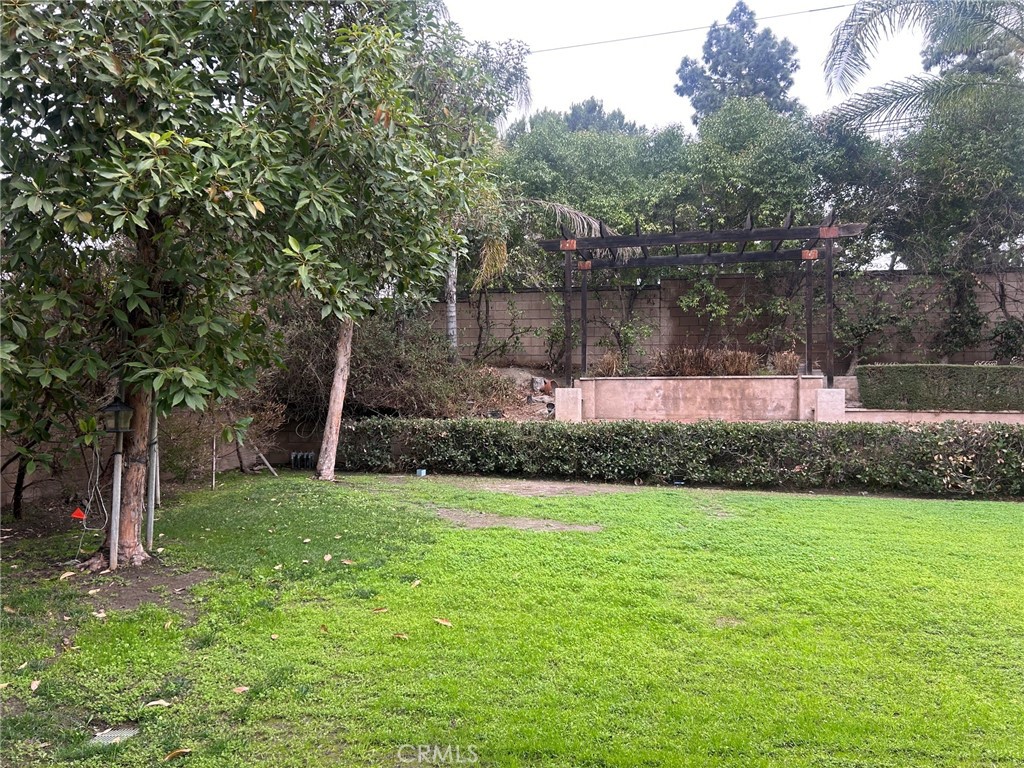 10218 Pico Vista Road Property Photo 59
