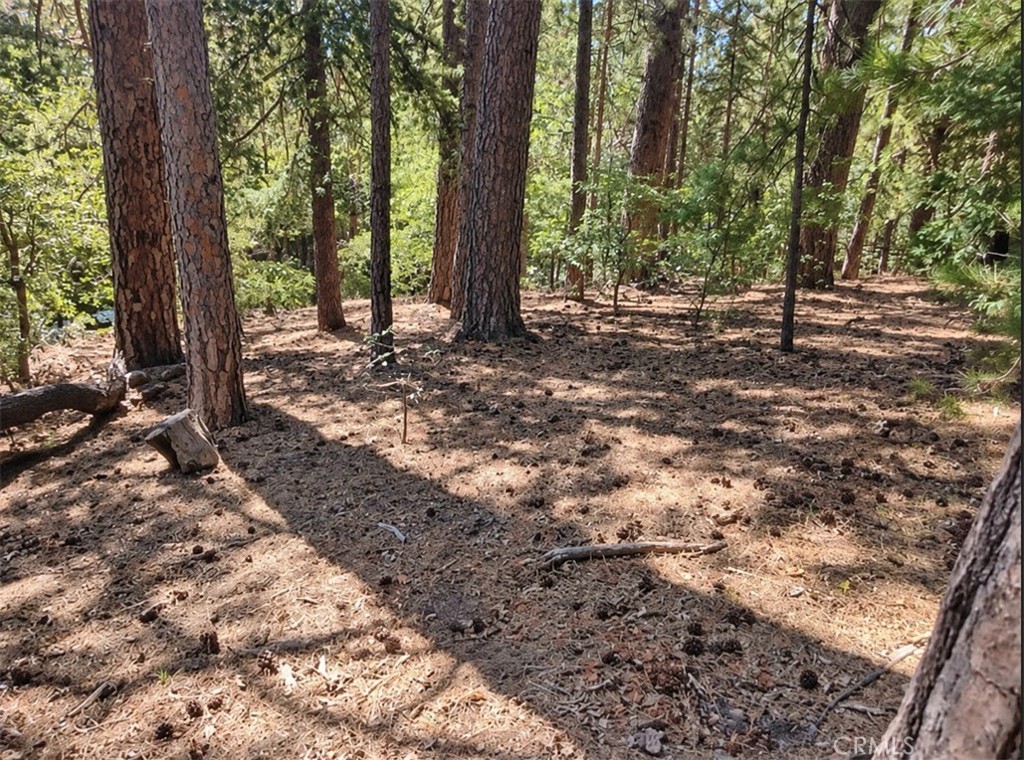 131 Golf Course Road Property Photo 1