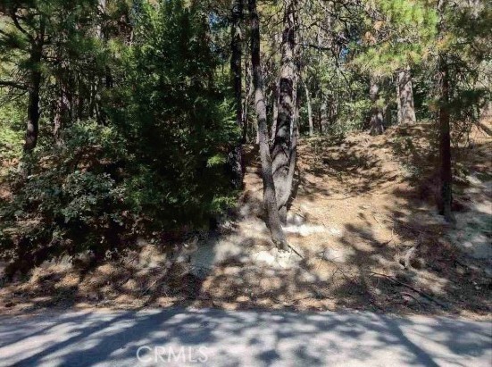 131 Golf Course Road Property Photo 5