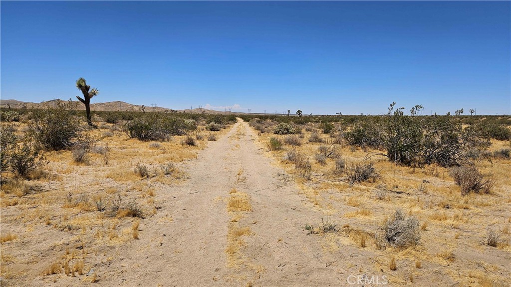 24204 Aster Road Property Photo 14