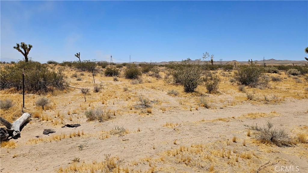 24204 Aster Road Property Photo 15