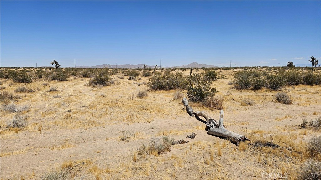 24204 Aster Road Property Photo 18