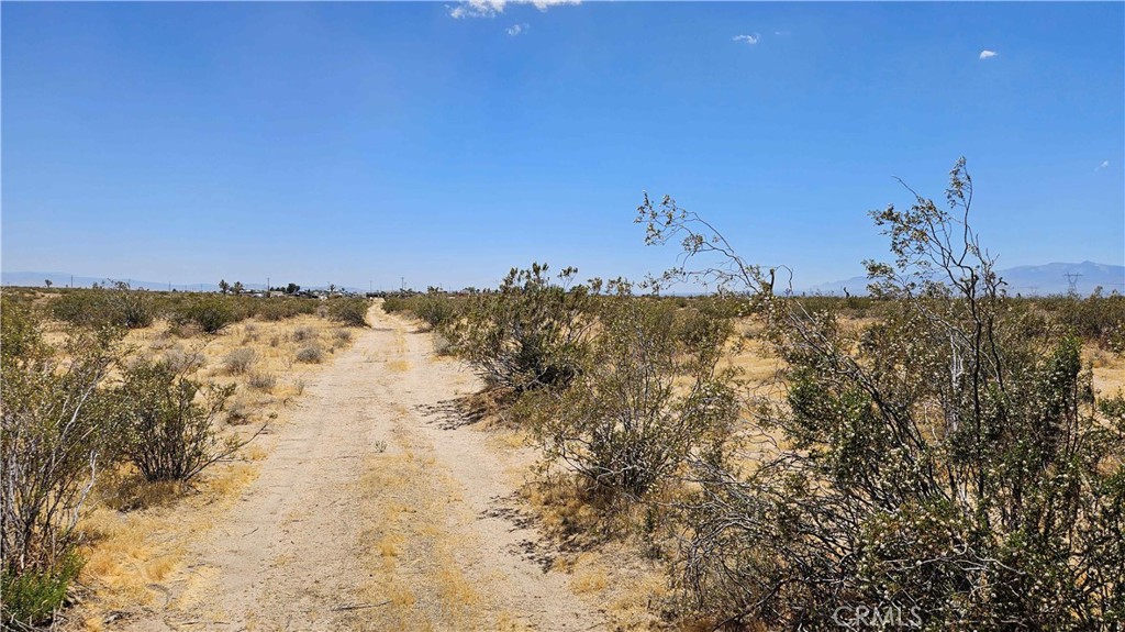 24204 Aster Road Property Photo 19