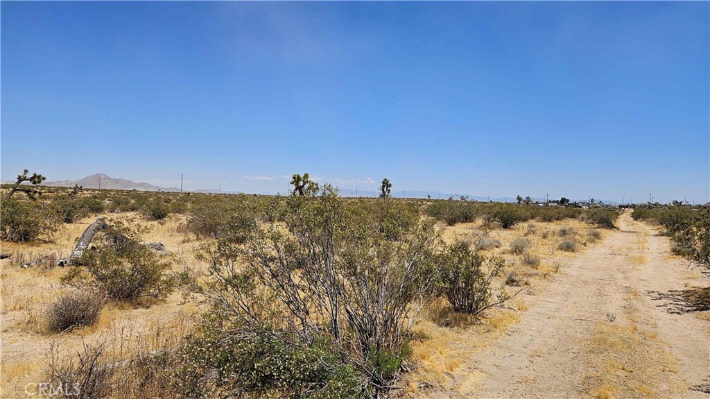 24204 Aster Road Property Photo 20