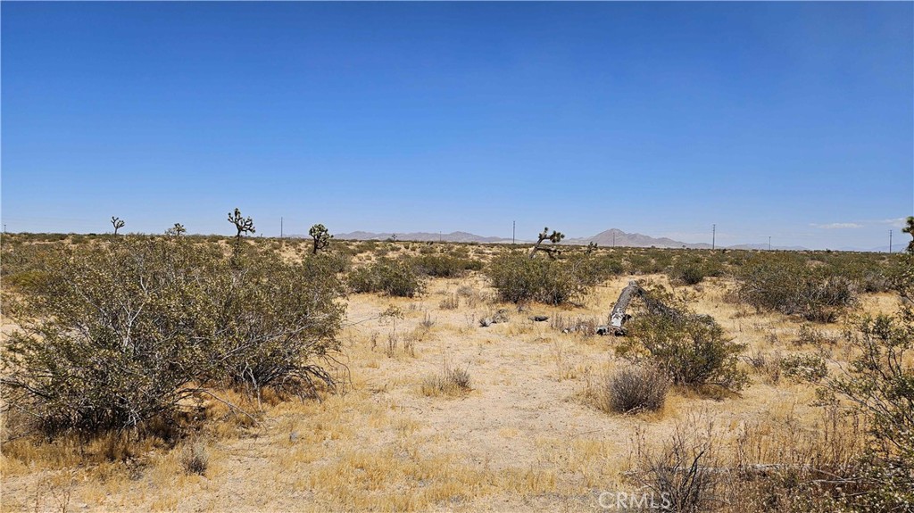 24204 Aster Road Property Photo 21