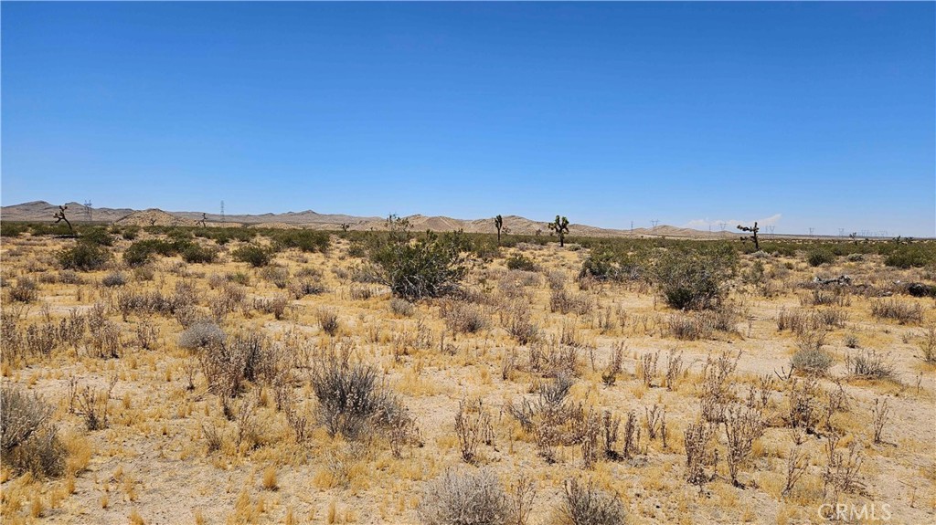 24204 Aster Road Property Photo 23