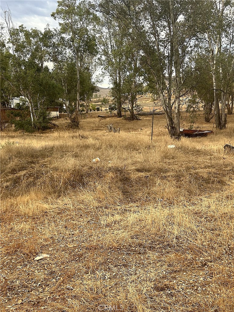 23110 Forrest Property Photo 7