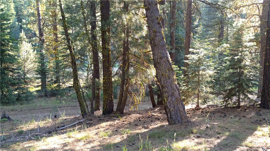133 Bend Drive Property Photo 52