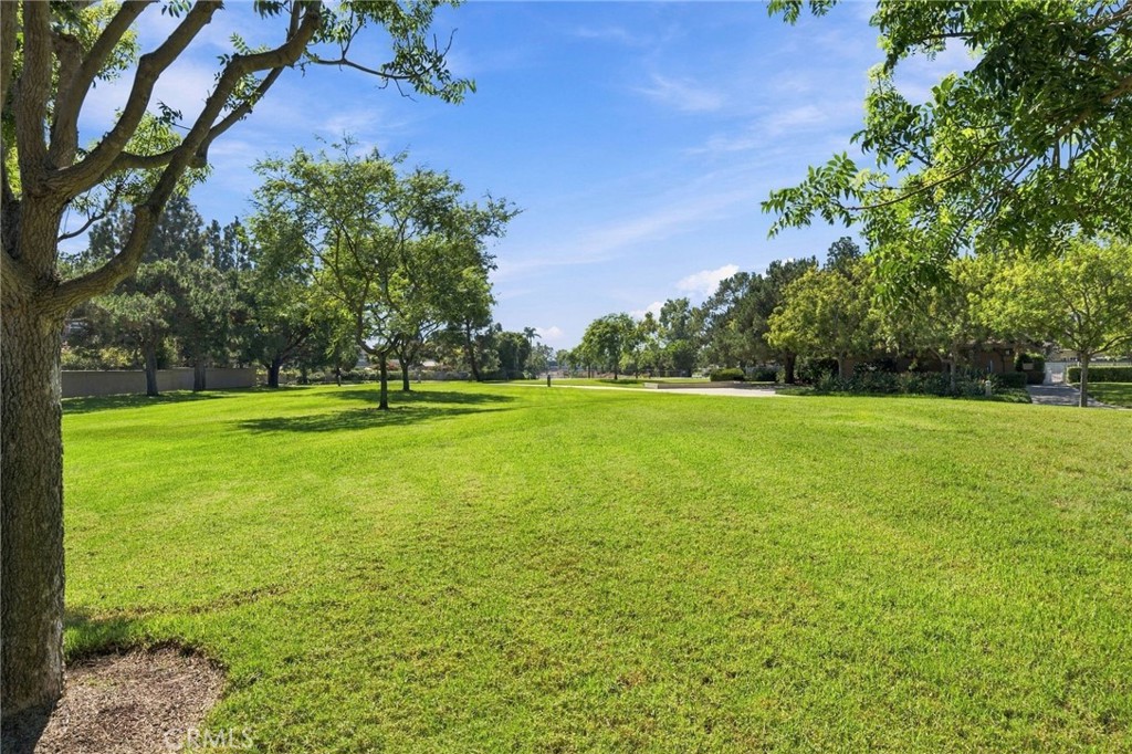 172 Almador Property Photo 47