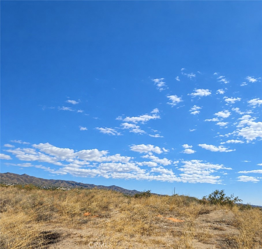 0 Palmdale Property Photo 1